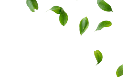 Floating leaf 1