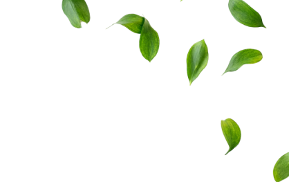 Floating leaf 1